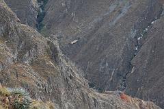 916-Cruz del condor,15 luglio 2013